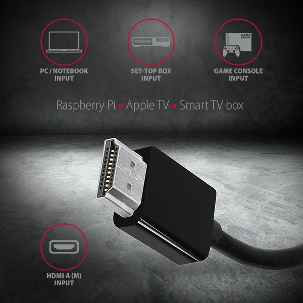 RVH-VGAN HDMI > VGA adapter