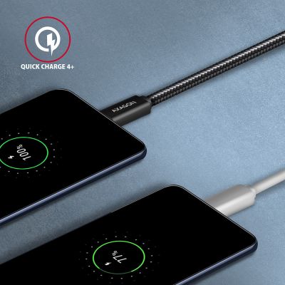 BUCM32-CM10AB SPEED+ USB-C <> USB 20Gbps Kabel 1 m